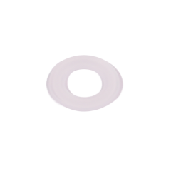 Anti-Extrusion Gasket, 200 WTI Head