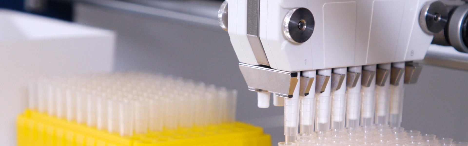 Anwendungsorientierte Automation. Für Ihr Wachstum entwickelt.