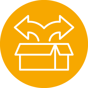 Global Network Icon